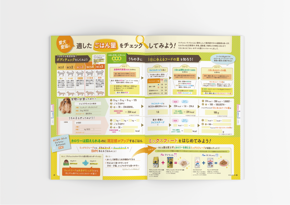 コジマ様「ペッツナビ vol.20」（2022）  株式会社ベネッセコーポレーション 様