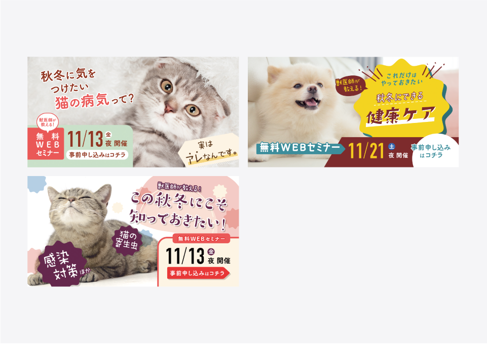 いぬのきもち・ねこのきもち バナー（2021）  株式会社ベネッセコーポレーション 様