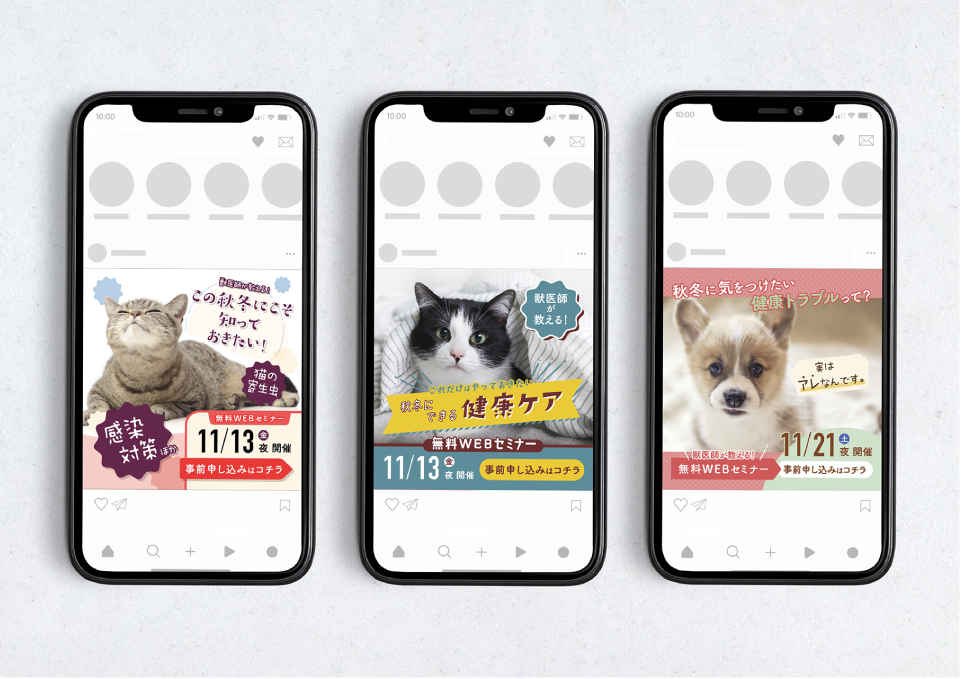 いぬのきもち・ねこのきもち バナー（2021）  株式会社ベネッセコーポレーション 様