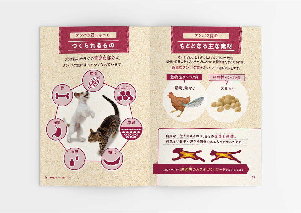 ユニ・チャーム様 フィジカライフ販促冊子（2021）  株式会社ベネッセコーポレーション 様