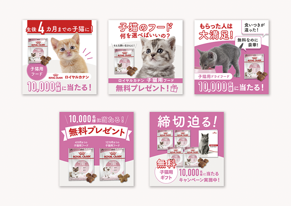 ペットサプリ WEBバナー（2025）  株式会社ベネッセコーポレーション 様