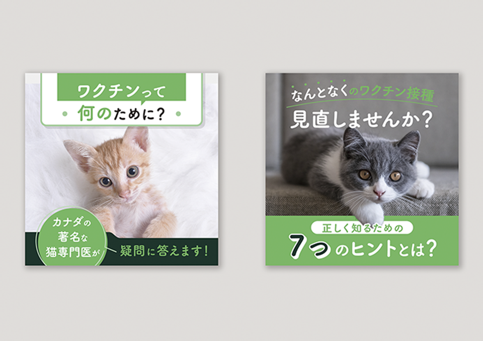 ペットの投薬喚起PRページ・バナー（2025）  株式会社ベネッセコーポレーション 様