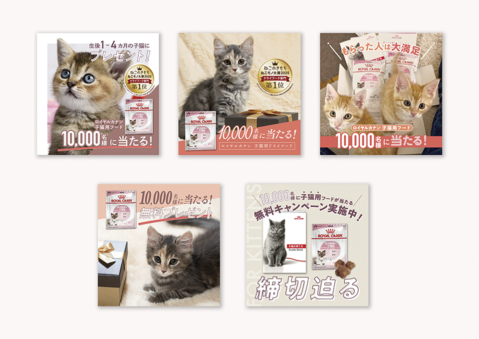 ペットサプリ WEBバナー（2025）  株式会社ベネッセコーポレーション 様