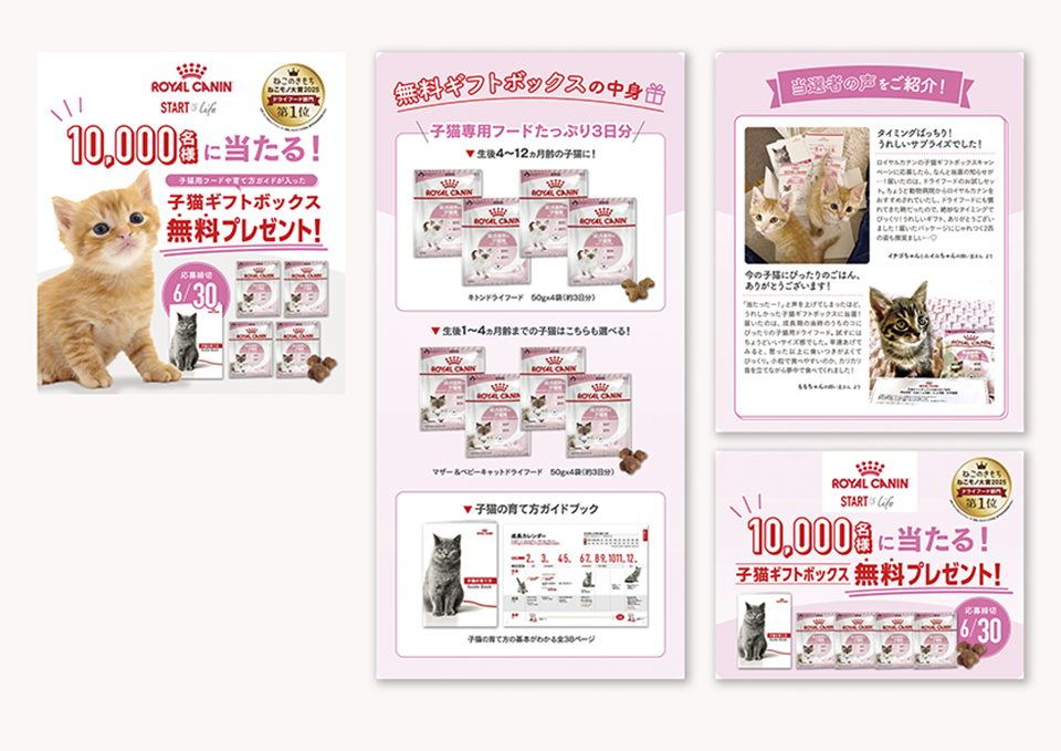 ペットサプリ WEBバナー（2025）  株式会社ベネッセコーポレーション 様